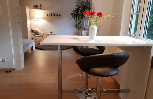 NICO Helles gemütliches Studio Innenstadt HomeOffice Workplace - Foto 1