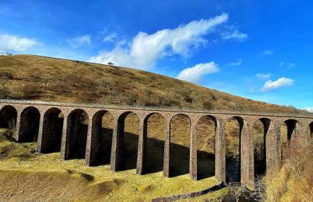 Black Bull Barn - Photo 19