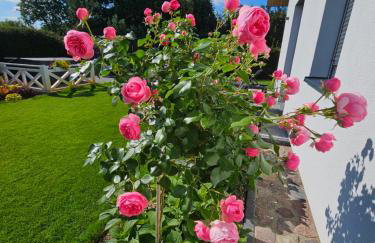 Zaciszne SPA - Foto 47