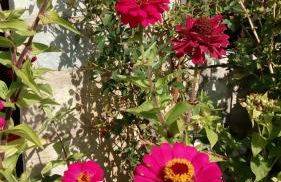 Mountain Ηouse in Arcadia - Foto 19