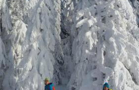 Wildnisresidenz am Nationalpark - Foto 44