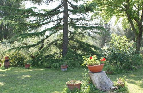 Tuscany country house, Poggio Vitale - Foto 27