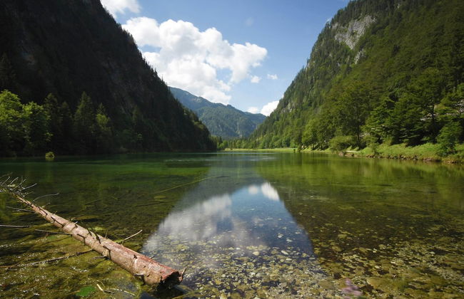 Ferienwohnung in den Ruhpoldinger Bergen - Foto 35