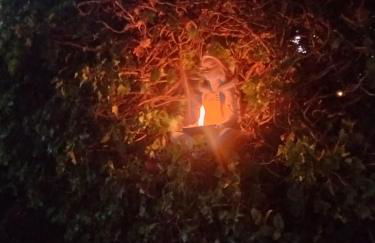 Sunrise Place Casa Vacanze - Photo 21