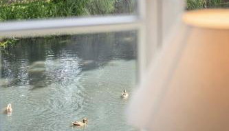 GUT KLETKAMP "Altes Torhaus" - Historisches Ferienhaus mit 5 Schlafzimmern I Kamin I Garten & Terrasse I Seeblick I 15 Min zur Ostsee I Moderne Küche I Hundefreundlich I Parkplätze I WLAN - Foto 5