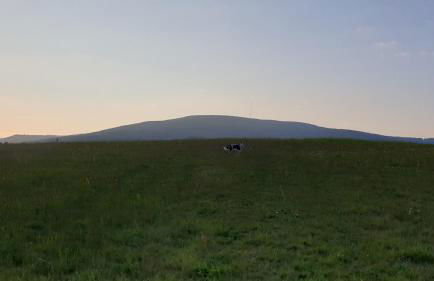 Studio Kaline - Foto 31