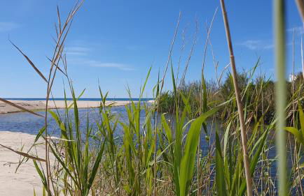 Agriturismo Corte Degli Ulivi - Foto 106