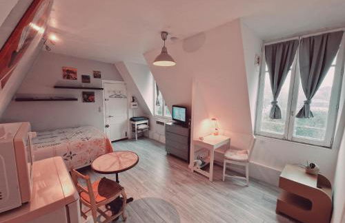 Location saisonnière, meublée, appartement type studio à Sèvres - Foto 5