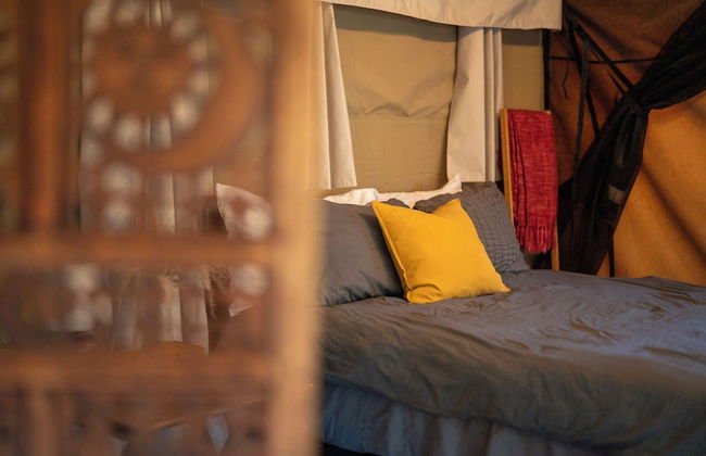 Lost Horizon Texas - Foto 32