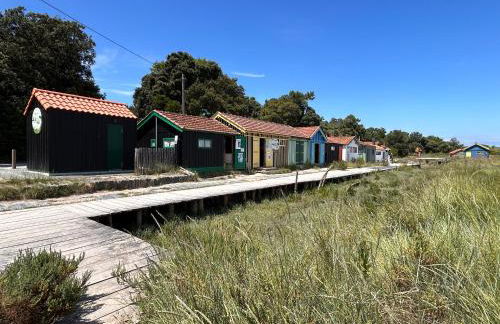 Les aigrettes - Foto 16