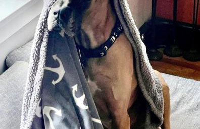 Homestead Upper Bucks - No Pet Fees - Foto 24