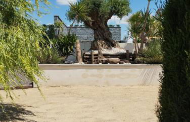 Mas des oliviers Entre Terre Et Mer - Foto 10