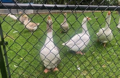 The Hive - Unique Themed Getaway - Foto 13