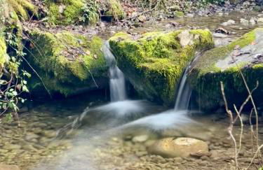 Römer Appartement mit sonniger Terrasse - Photo 25