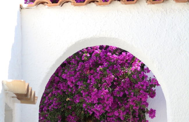 Antichi Mulini - Photo 45