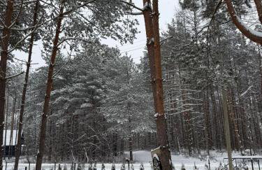 Leśne Zacisze Radawa III - Foto 39