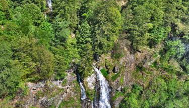Berghof Almzeit - Fewo "Philosophenstüble", Sauna, Todtnauberg, Feldberg - Foto 3