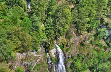 Altes Forsthaus - Fewo "Hasenhorn", mit privater Sauna, Todtnau- Feldberg - Foto 39