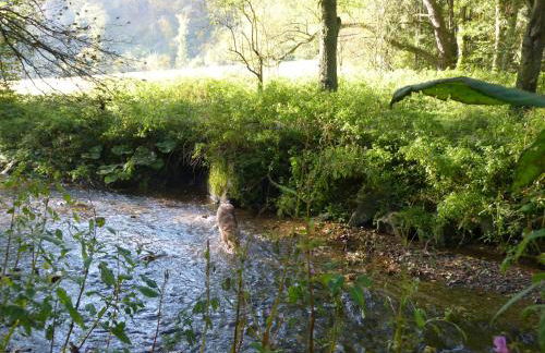 RheinWeinBoppard 2 - mit Rheinblick - Foto 75