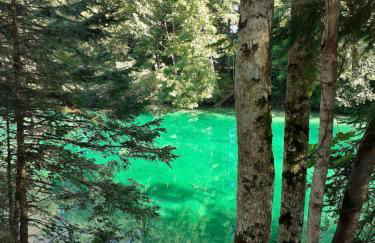 Ferienwohnung mit wundervollen Bergblick & E-Auto Ladestation - Foto 23