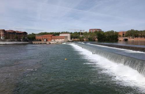 T3 Lumineux - Berges de la Garonne - Parking - Photo 23