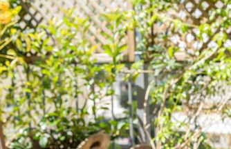 Valashouse - Foto 59