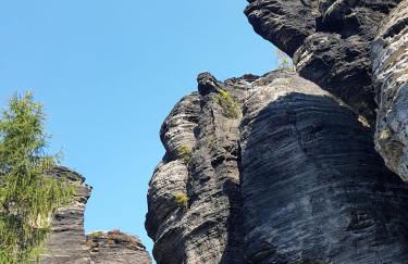 Auf-der-Muehlwiese - Foto 46