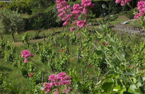 Uvatanta Cottage - Foto 44