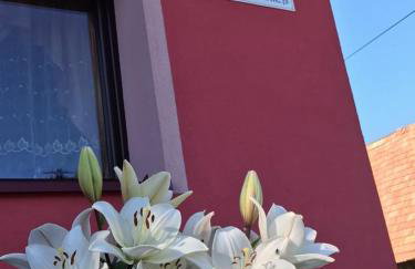 Malinowy Domek - Photo 65