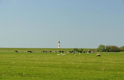 Schäferhof Dircks Fewo 4 - Foto 8