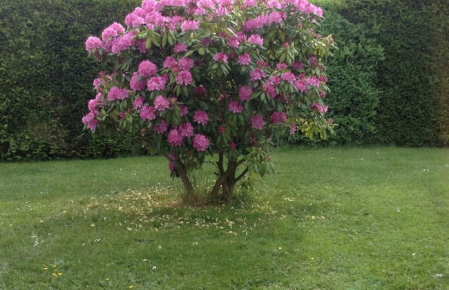 Glasner Comfortable Holiday Residence - Foto 22