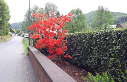 Ferienwohnung am Zeitenweg - Foto 14