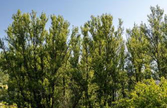 Masía Casa Rullo - Foto 76