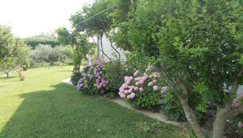 Apartments Makaus - Foto 5, Garden