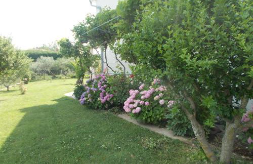 Apartments Makaus - Photo 6