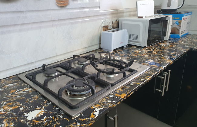 Master Bedroom with Shared Kitchen - Photo 29