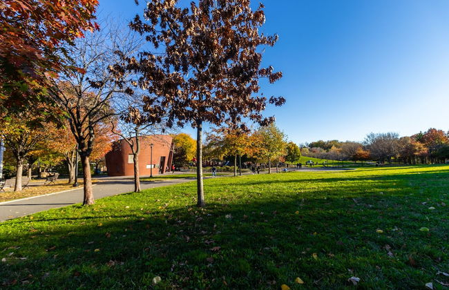 Deluxe single bed 1st FL in Elmhurst NY - Foto 17