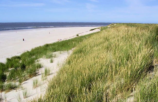 Holiday Home With Private Garden by the sea - Foto 22