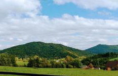 Bieszczadzkie domki z widokiem 793-903-243 - Foto 33