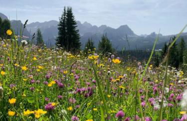 Residence Bondì - Foto 47