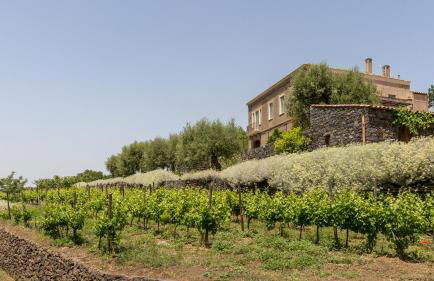 Sciaraviva - Foto 31