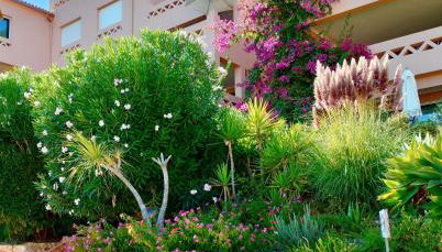 Apartamentos Turísticos Buganvilia - Foto 1, Garden, Garden view