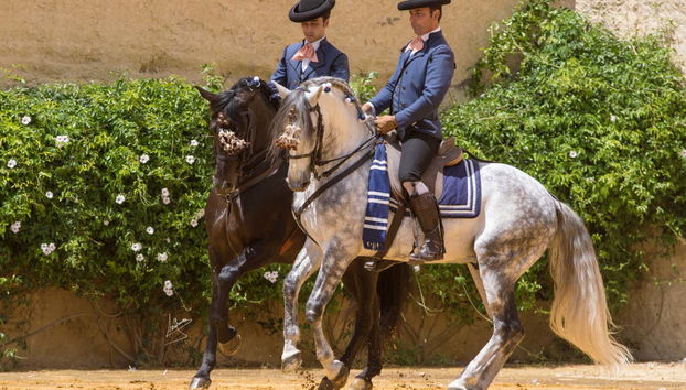 Yeguada de la Cartuja Stud Farm Tour - Foto 2