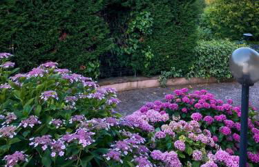 VILLA ISELLA - Photo 12