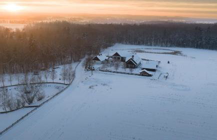 Siedlisko Domkowo - Foto 41