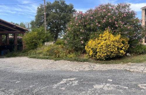 Gîte Appartement à la campagne - Photo 11