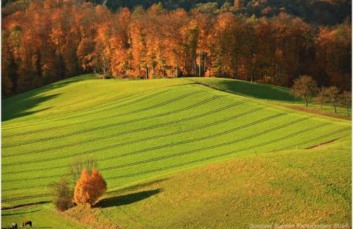 Ferienwohnung Mörlenbach - Foto 28