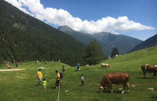 Sul cucuzzolo - Foto 61