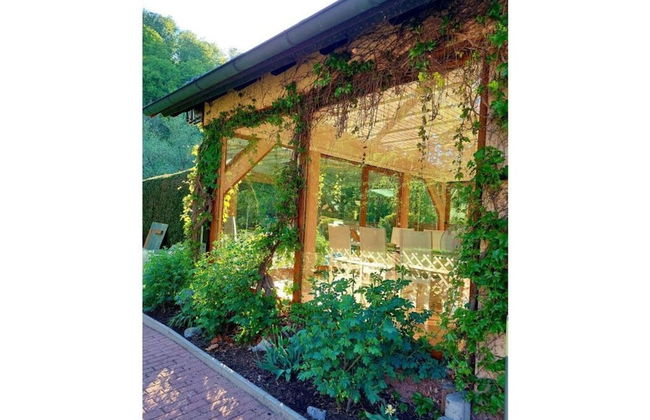 aan de Oever van de Werra - Foto 33