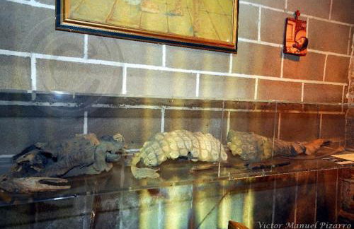 APARTAMENTO TURÍSTICO EL ESQUILÓN - Foto 34